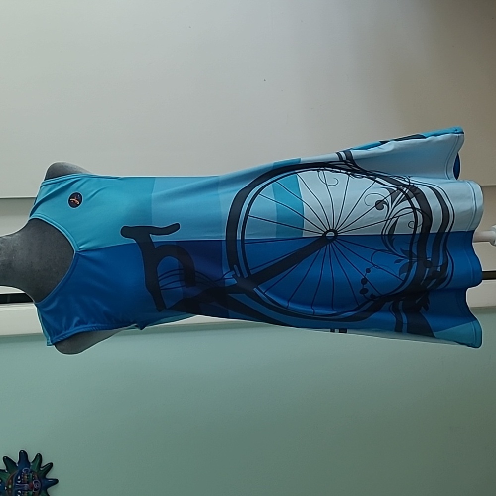 Blue Artletics Dress